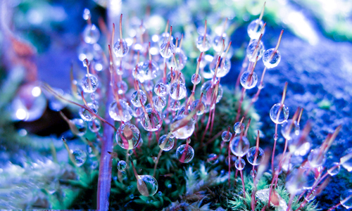 betvictorV7.9专业版