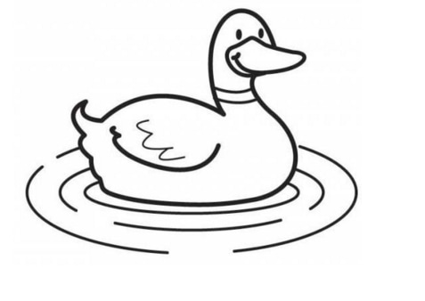小熊洗车APP