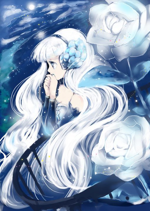 聚56车主手机版