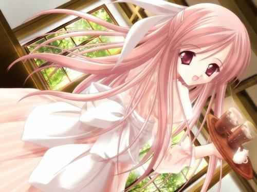 熊猫体育官方入口V2.4专业版