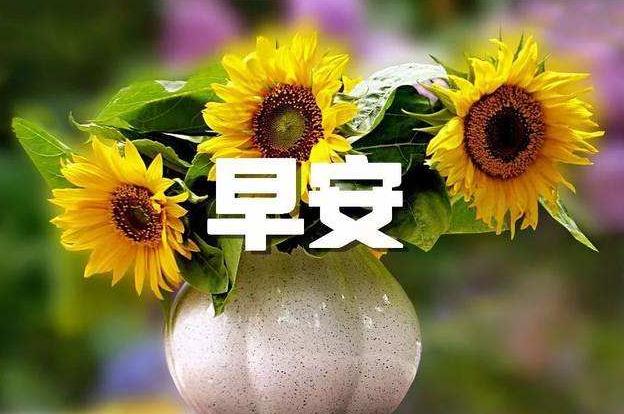 贵州药材APP