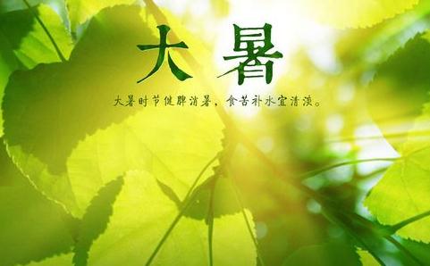 皇家88app