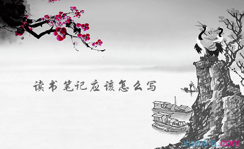 迅雷修改版无限期高速通道加速