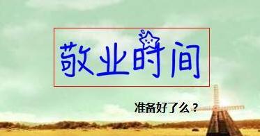爱拍拍大师电脑版