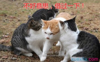 kaiyun体育多平台登录选择界面