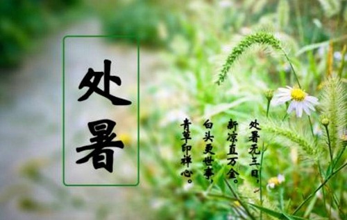 电子现金网app安卓版二维码