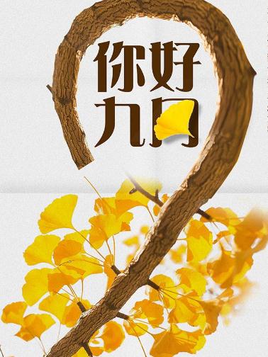 贵州药材APP