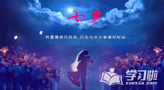 星空半岛appV3.7专业版
