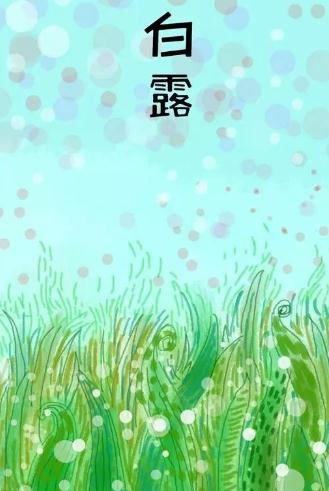 彩网导航app2025最新版角色创建界面