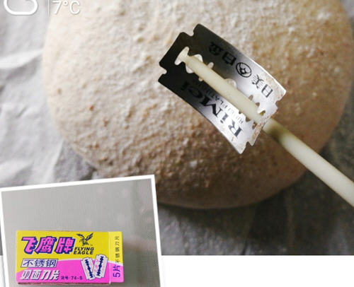 云体育appV1.8专业版