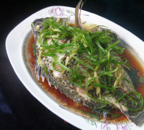 小熊洗车APP