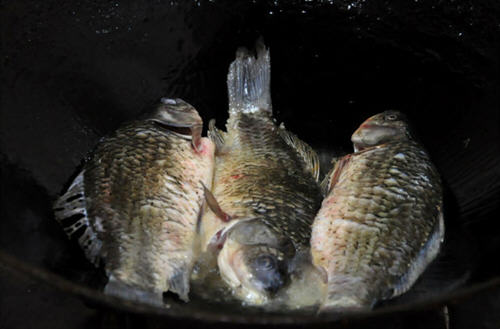 2028体育appV2.5专业版