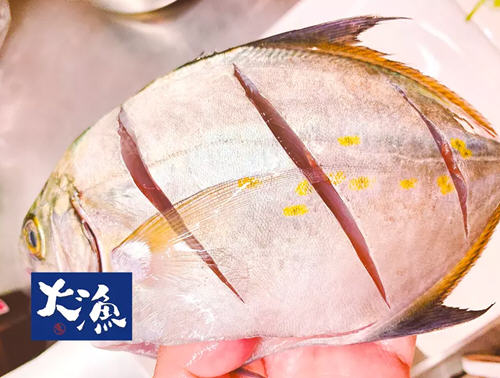678体育注册V9.6专业版