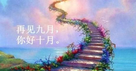 太阳诚app安卓版二维码