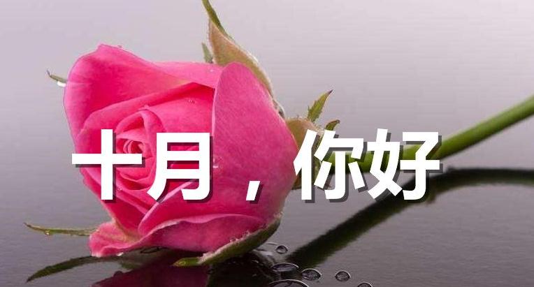 小熊洗车APP