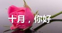 PT电子appV6.1专业版