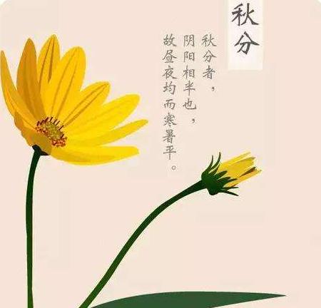 68国际登录V3.4专业版
