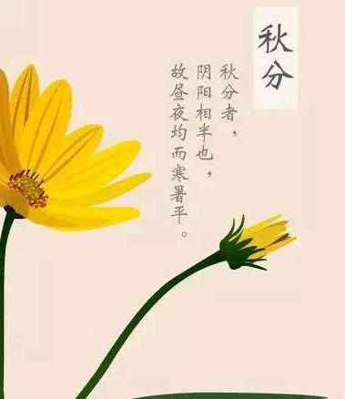 鼎汇国际登录2025版行会团队副本战斗场景