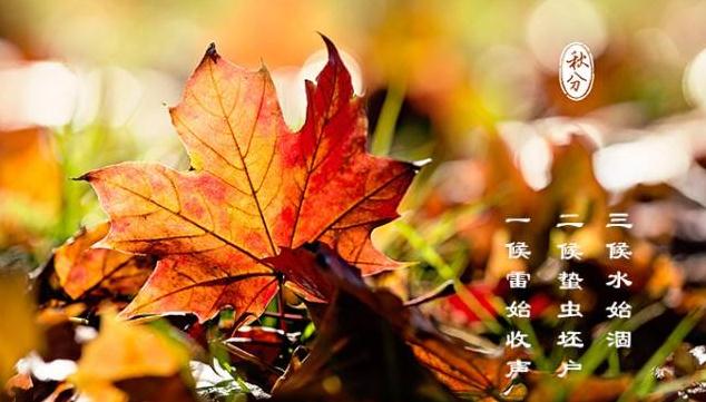 爱游戏app 2025最新版 团队竞技地图画面