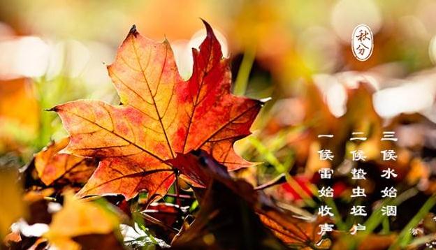 奥门威斯尼斯登录