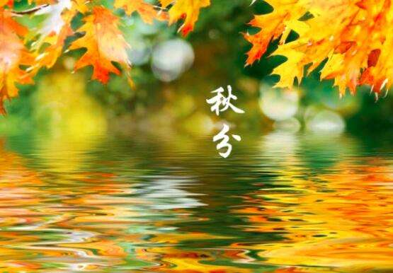 QQ餐厅ios版