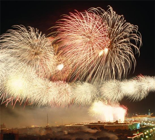 宾果appV4.1专业版