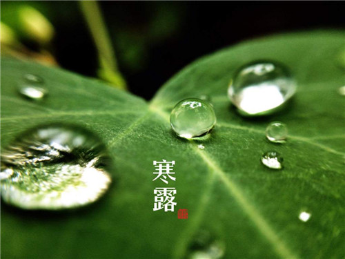 河南汽车维修平台APP