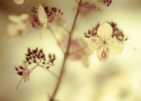 天天游戏体育appV3.5专业版