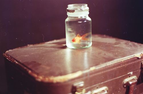 SP娱乐app与同类游戏场景对比