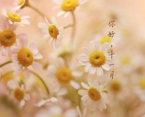 迷你简黑棋