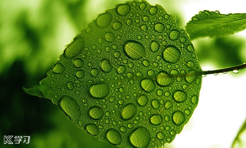 Photoshop Express手机汉化版