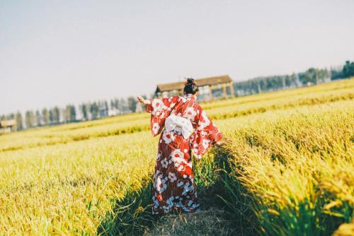 welcome购彩V4.9专业版