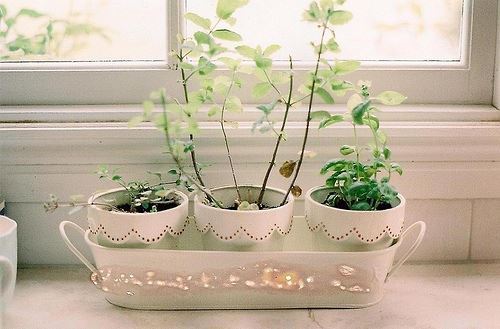 迷你简火柴