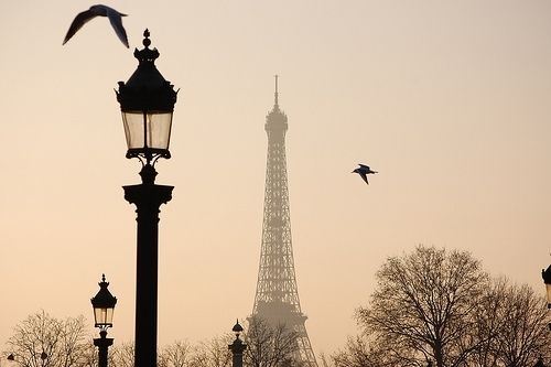 贵州药材APP