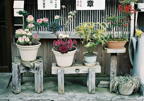 荣耀争霸
