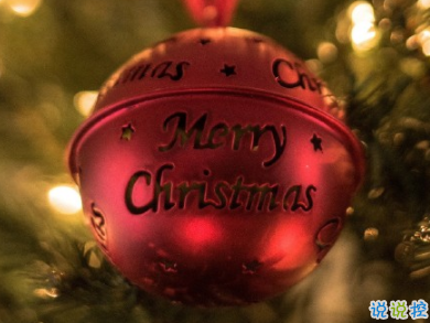 足球波胆app注册V9.6专业版