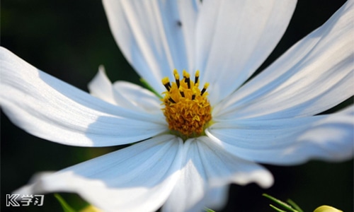 一键硬盘文件系统转换(NTFS与FAT32转换器)