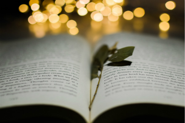 河南汽车维修平台APP