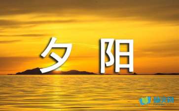 开云app官方体育app下载V2.8专业版