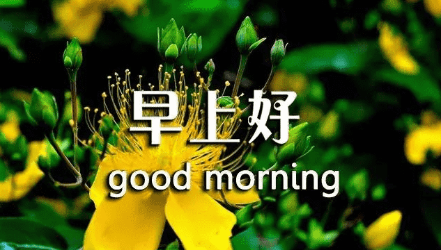 飞跃：多彩滑板