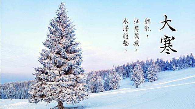 贵州药材APP
