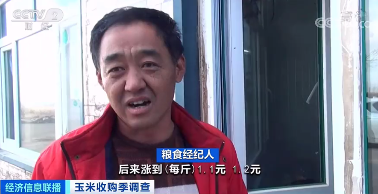 我的金华