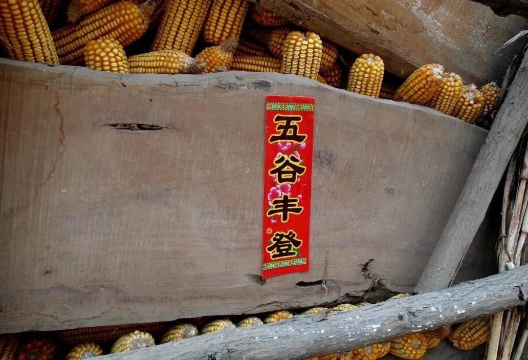 在线娱乐购彩平台app安卓版二维码