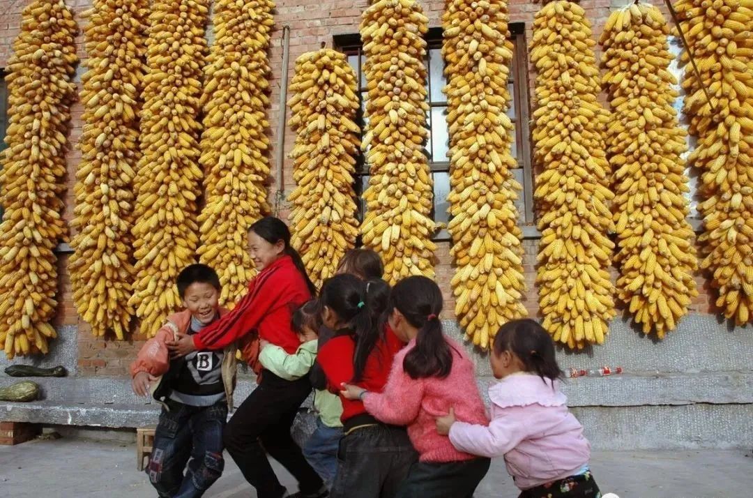 妖妖对战平台