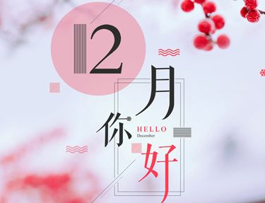 开云官方入口链接V4.4专业版