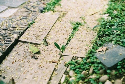 金泰娱乐app2025版游戏主界面截图
