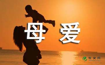 OD体育APP2025版新增角色与卡牌内容预览
