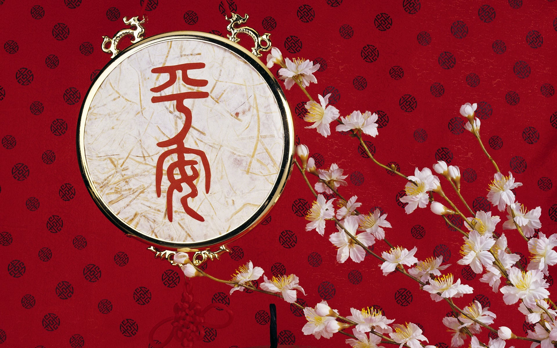 小熊洗车APP