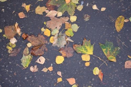 枕上书游戏