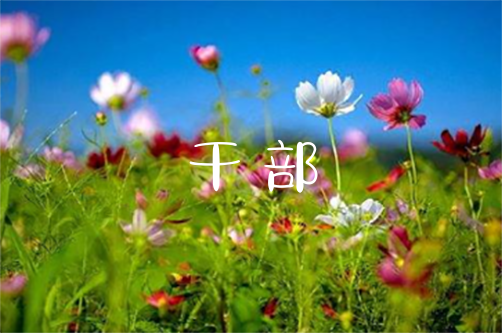 少女X战记